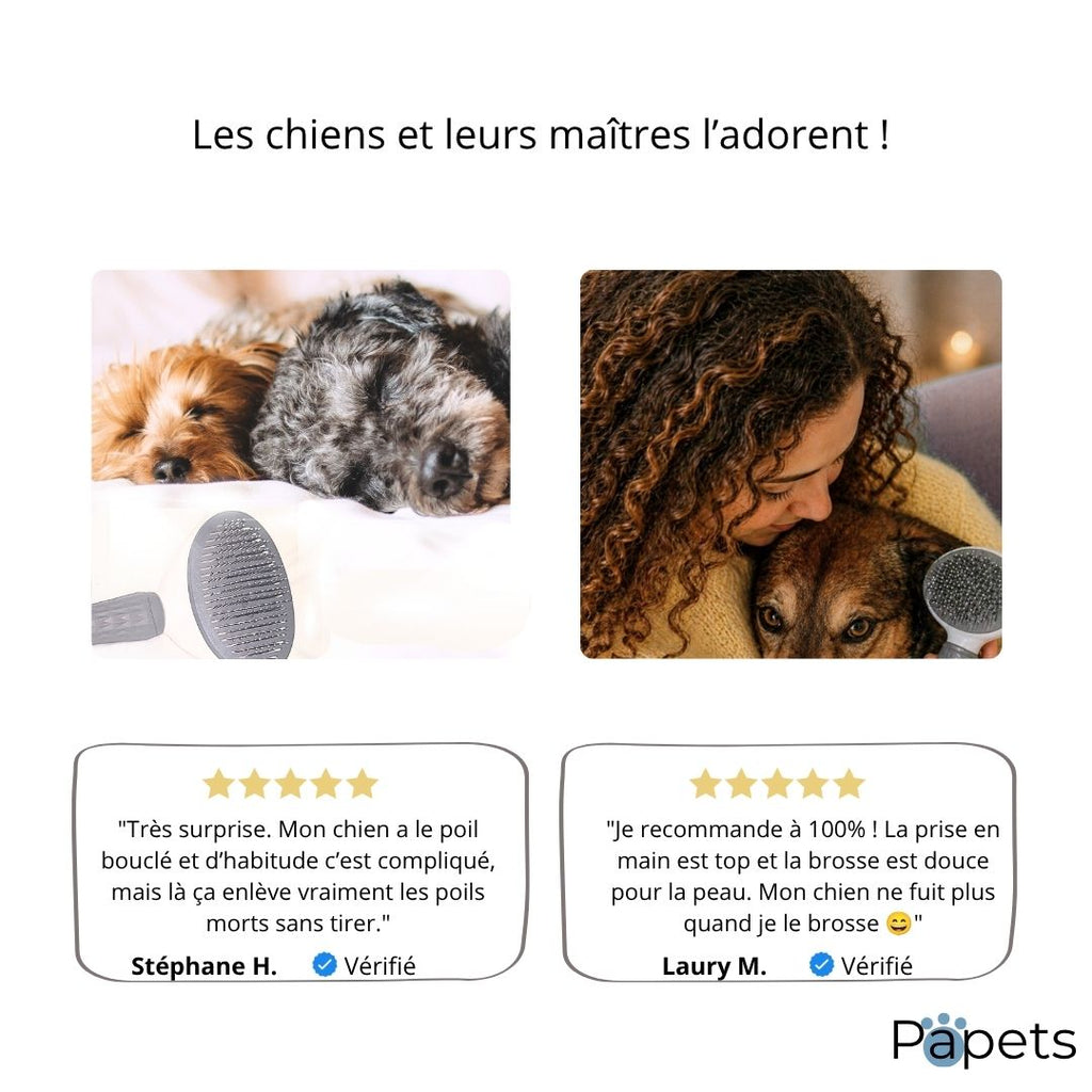 Brosse Autonettoyante pour Chiens et Chats Papets