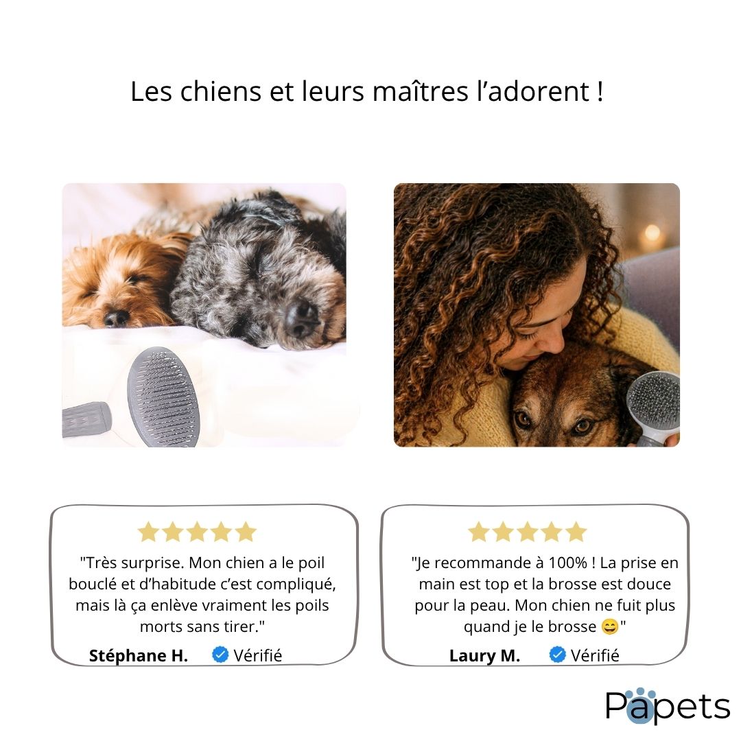 Brosse Autonettoyante pour Chiens et Chats Papets