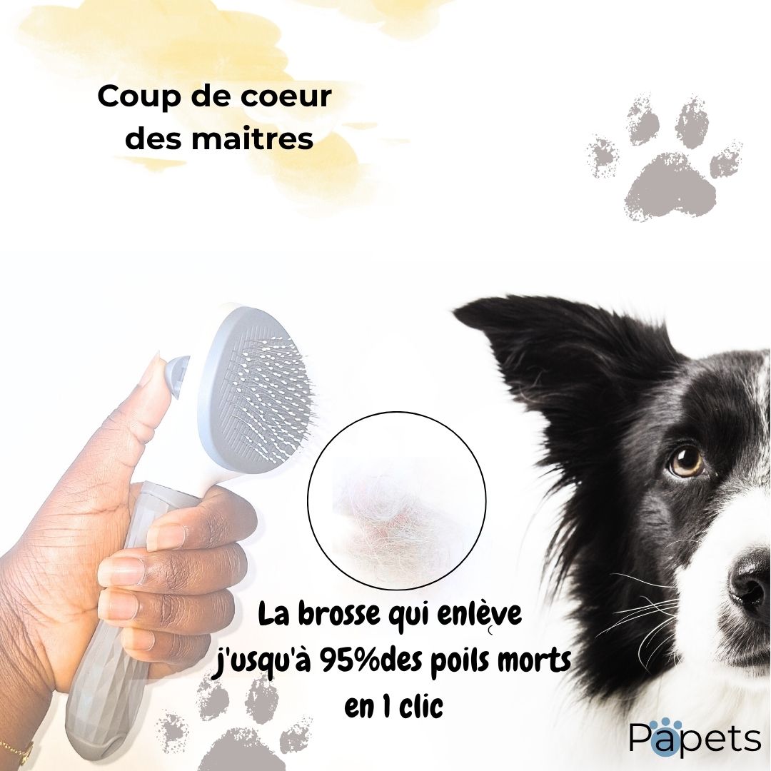 Brosse Autonettoyante pour Chiens et Chats Papets