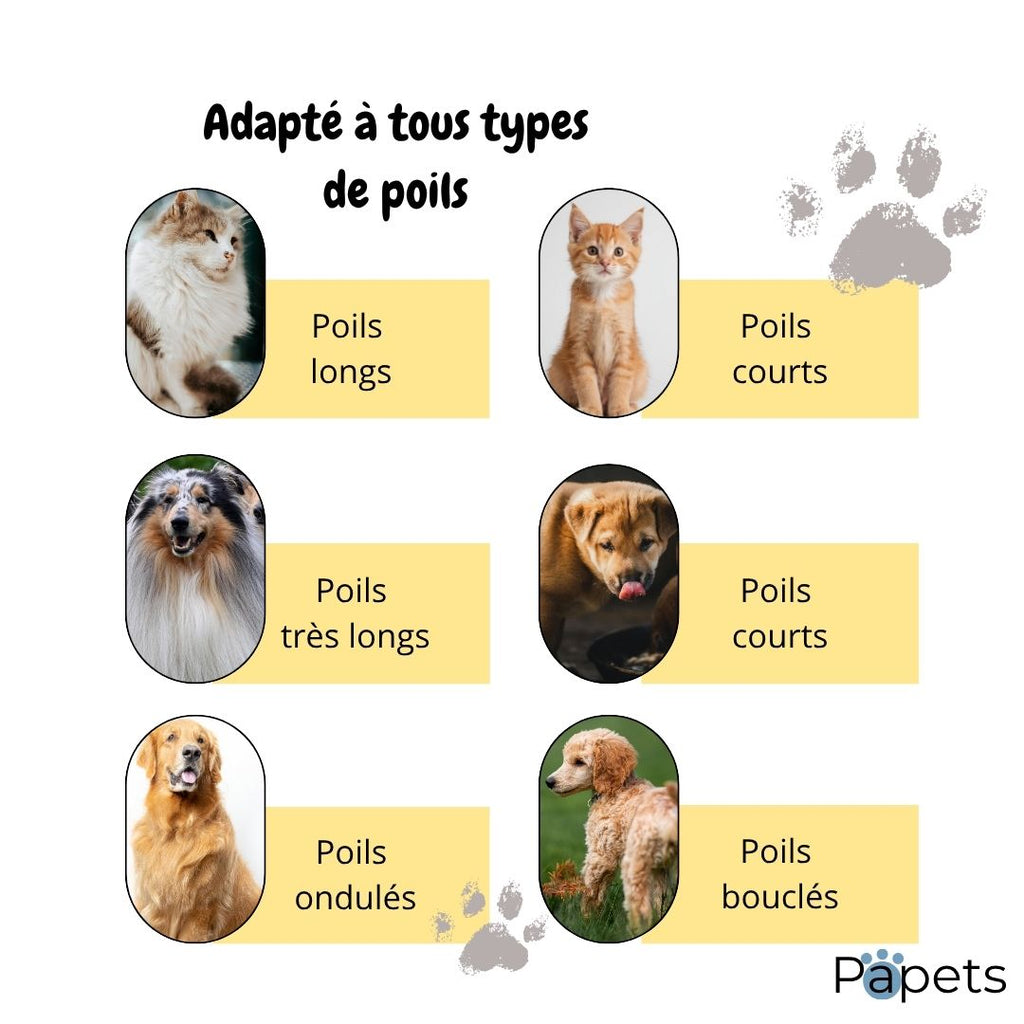 Brosse Autonettoyante pour Chiens et Chats Papets