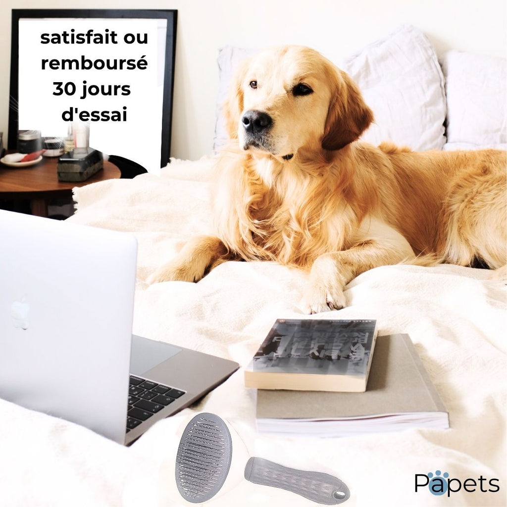 Brosse Autonettoyante pour Chiens et Chats Papets