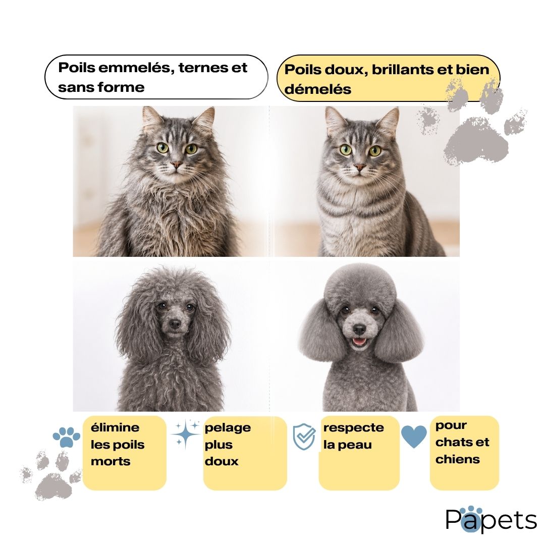 Brosse Autonettoyante pour Chiens et Chats Papets