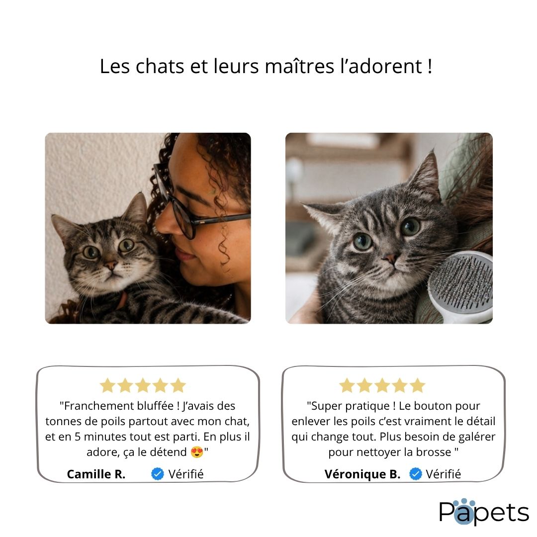 Brosse Autonettoyante pour Chiens et Chats Papets